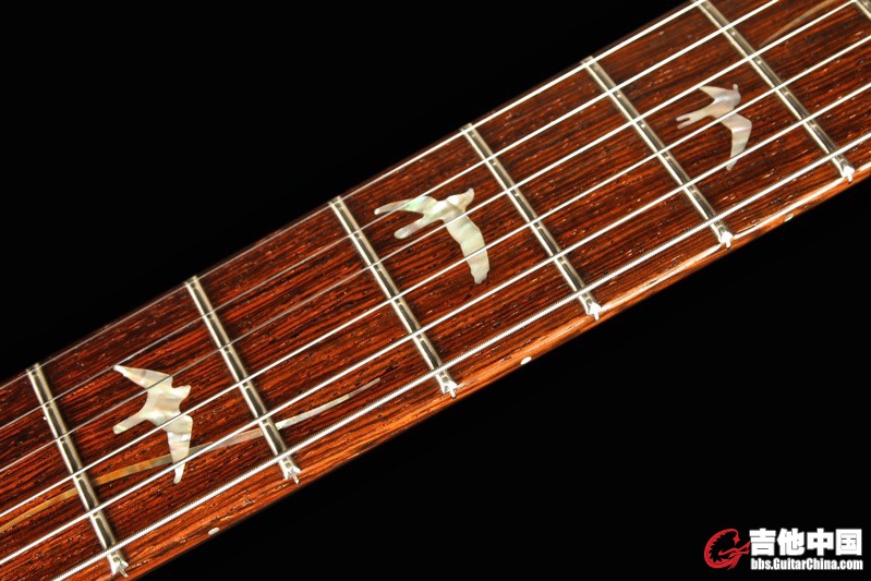 prs6.jpg