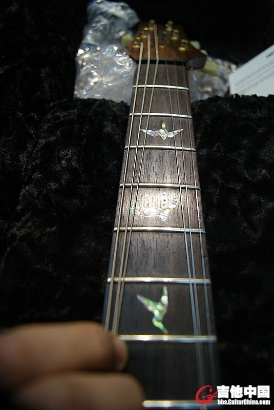 DSC04202_副本.jpg