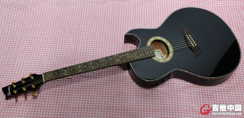ibanez (2).jpg