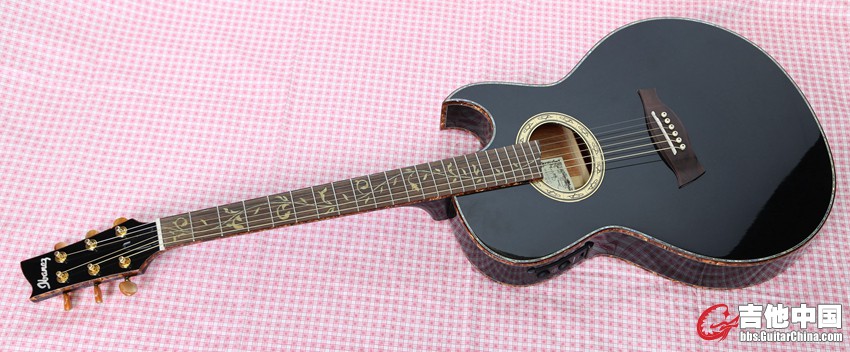 ibanez (3).jpg