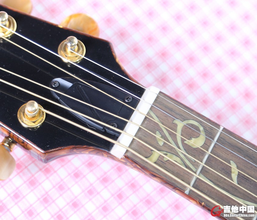 ibanez (4).jpg