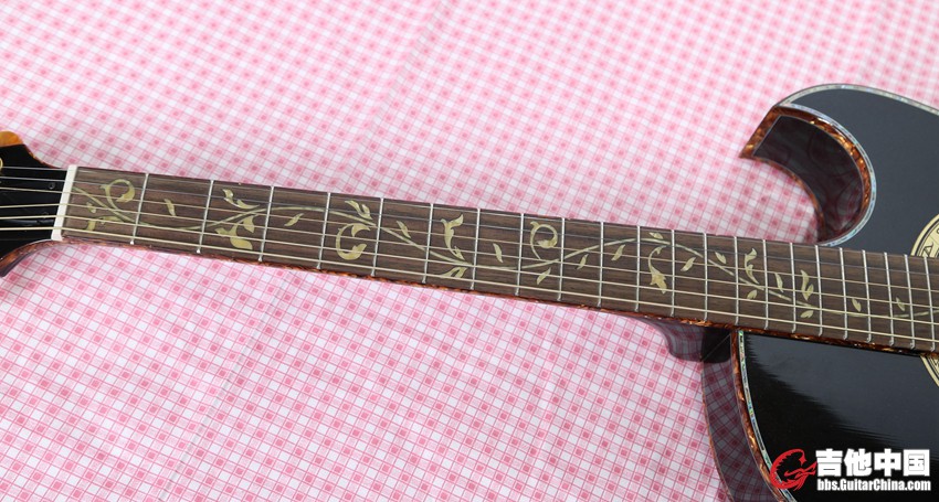 ibanez (5).jpg
