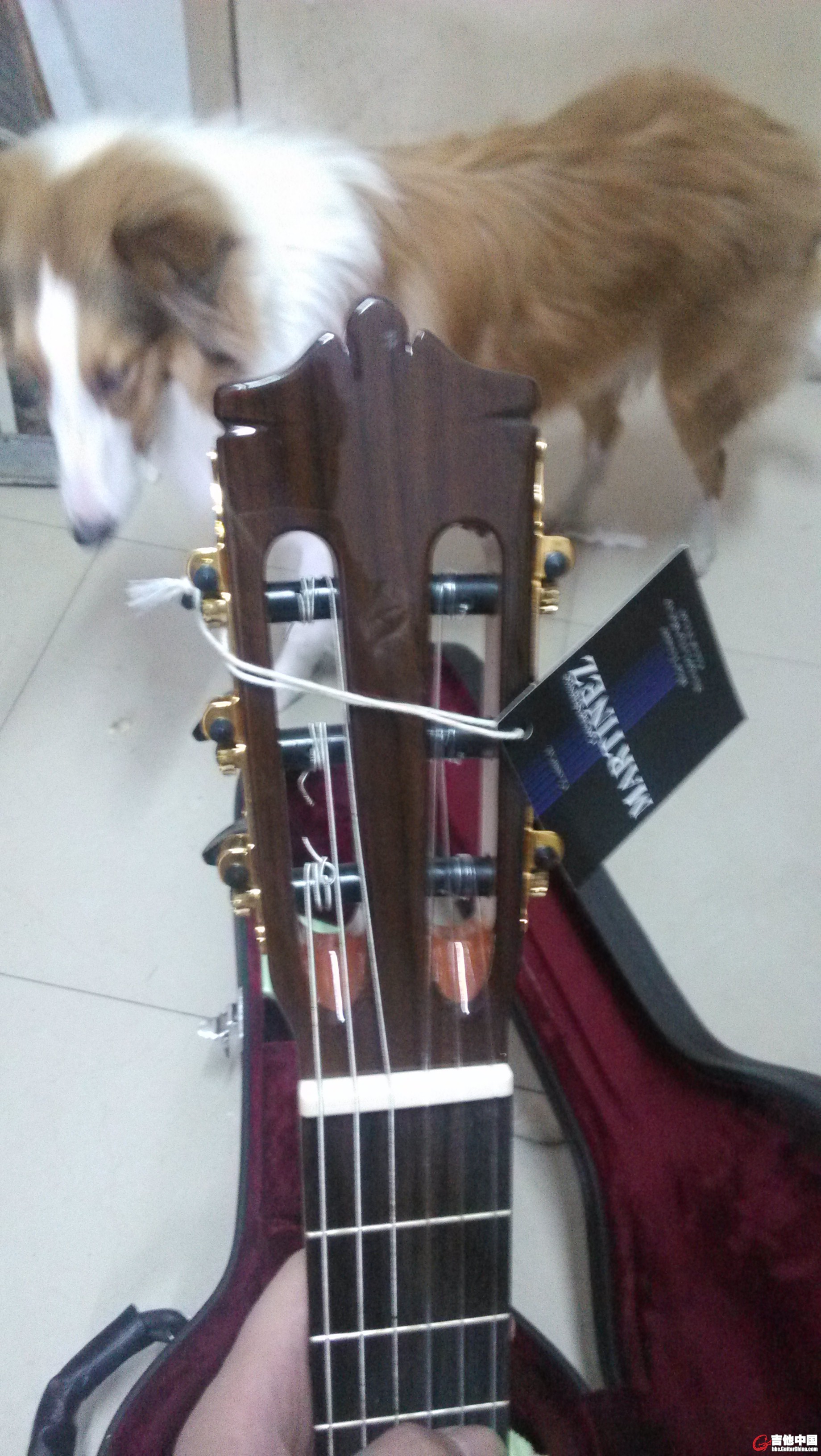 吊牌都还在