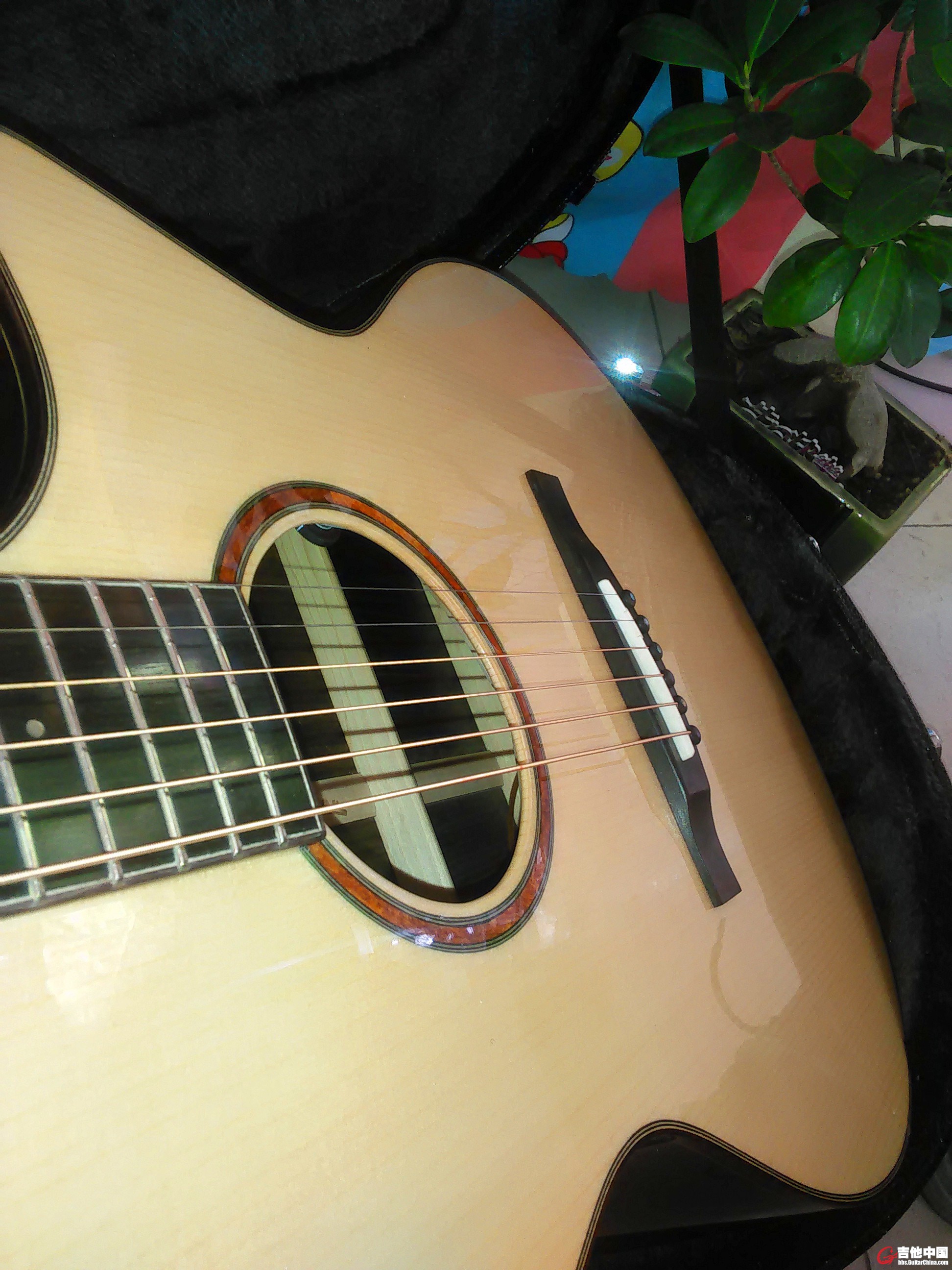 IMG20151215133238.jpg