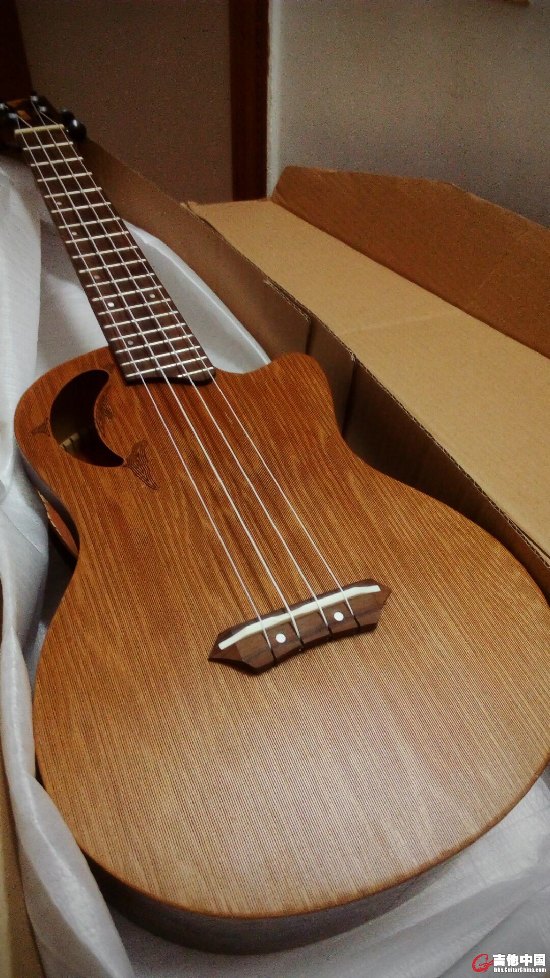 QQ图片20151227104611.jpg