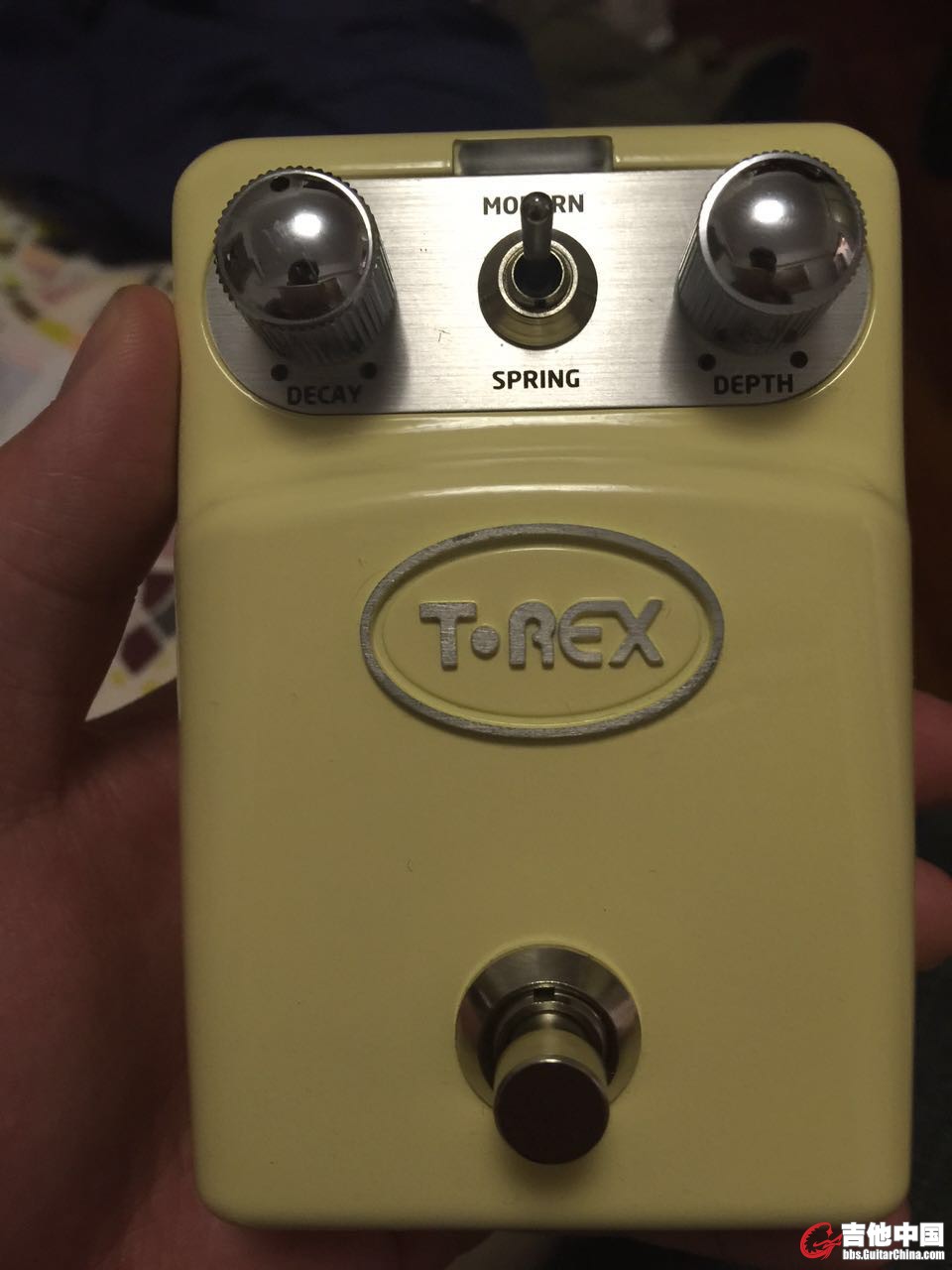 t-rex 4.jpg