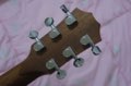 8.pic_thumb.jpg