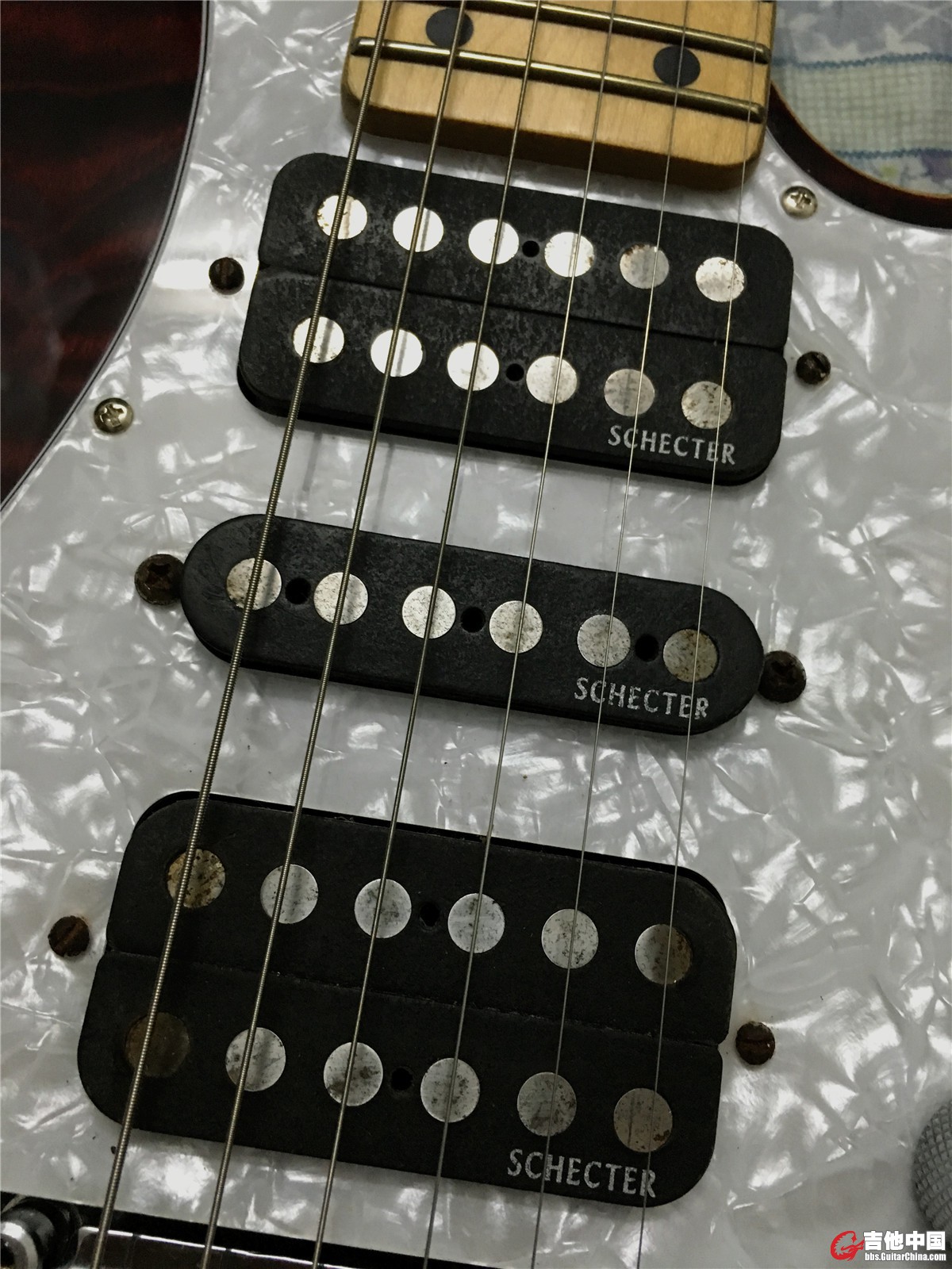 104715sbmvm1frlkedzxeg.jpg