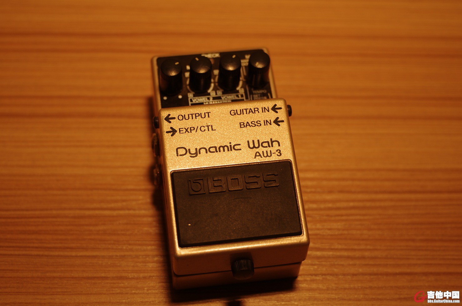 IMGP9925.JPG