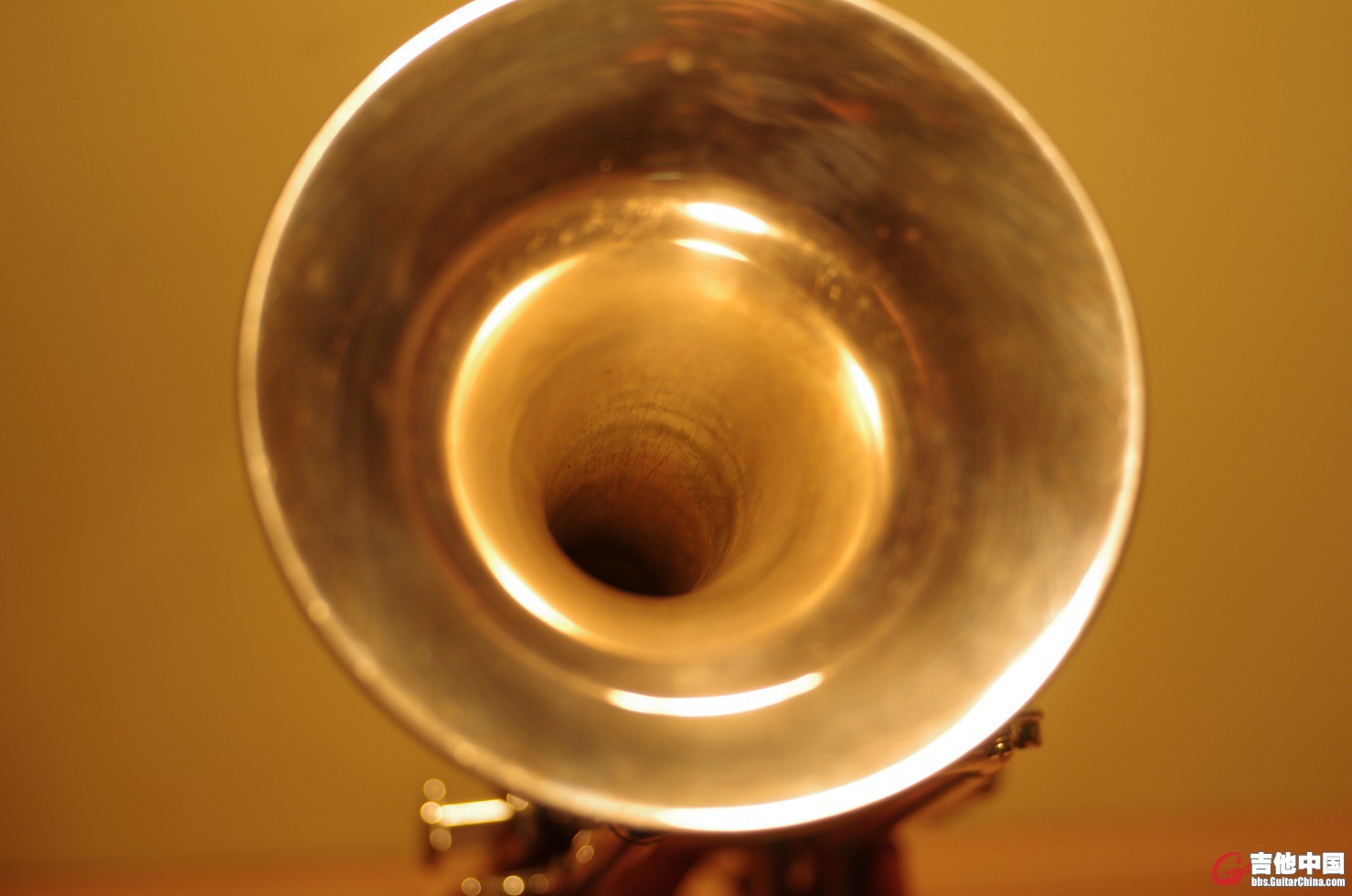 IMGP9963.JPG