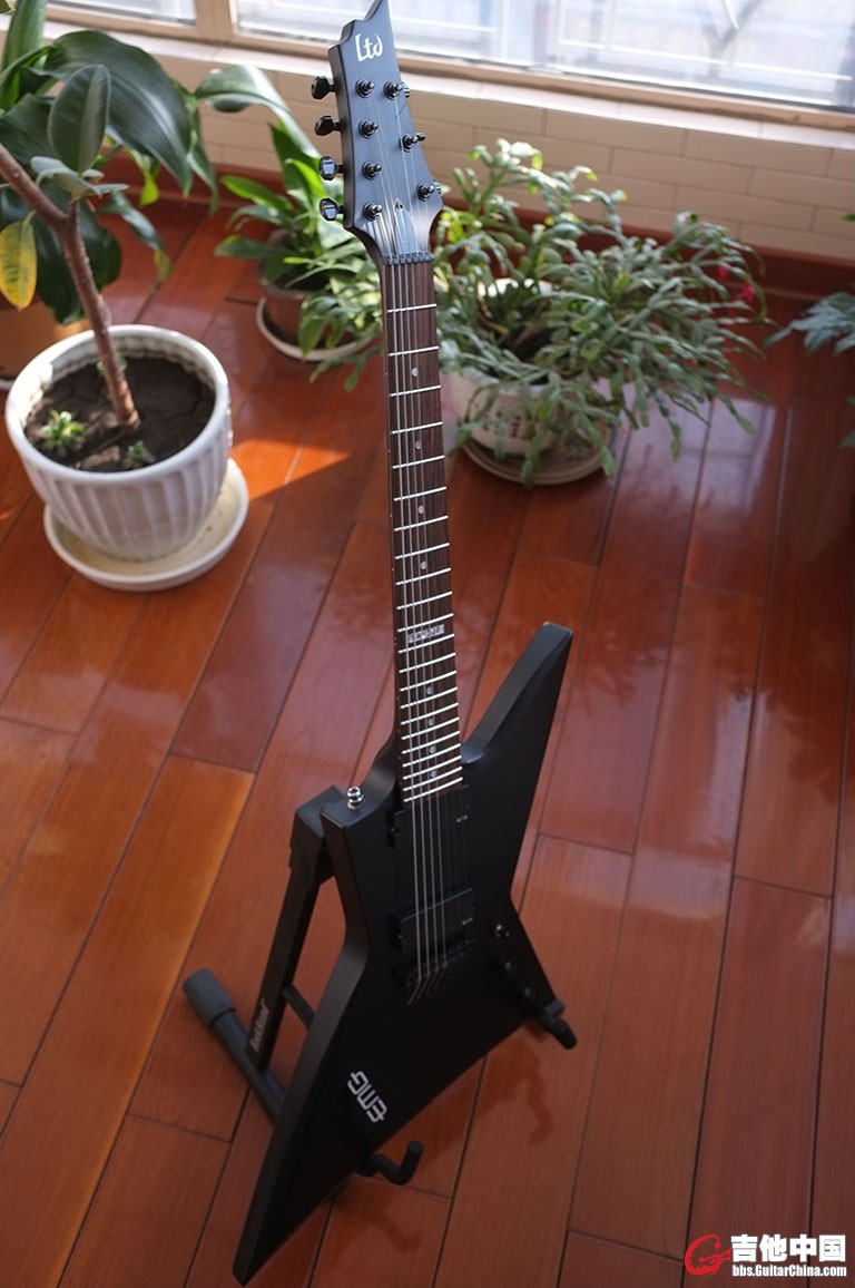 DSCF1181.JPG