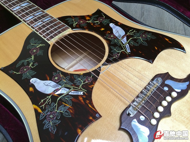 gibson dove.jpg
