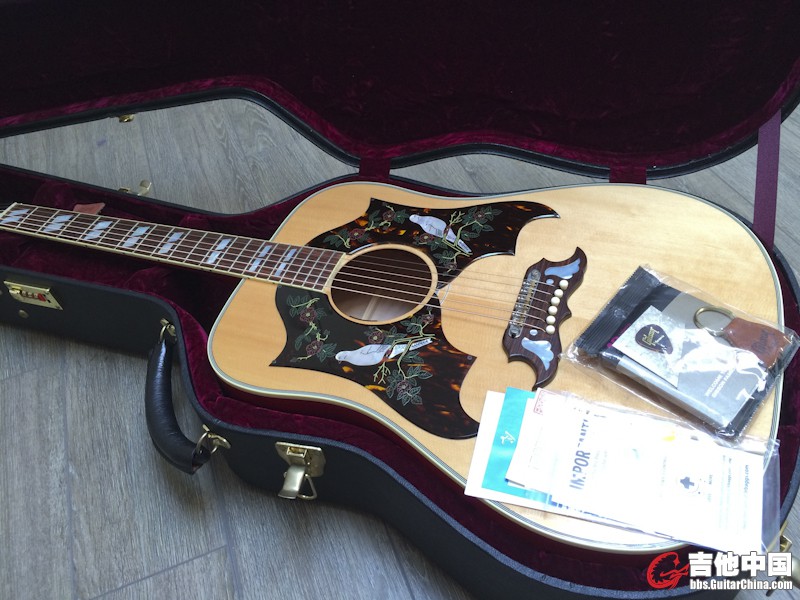 gibson dove-2.jpg