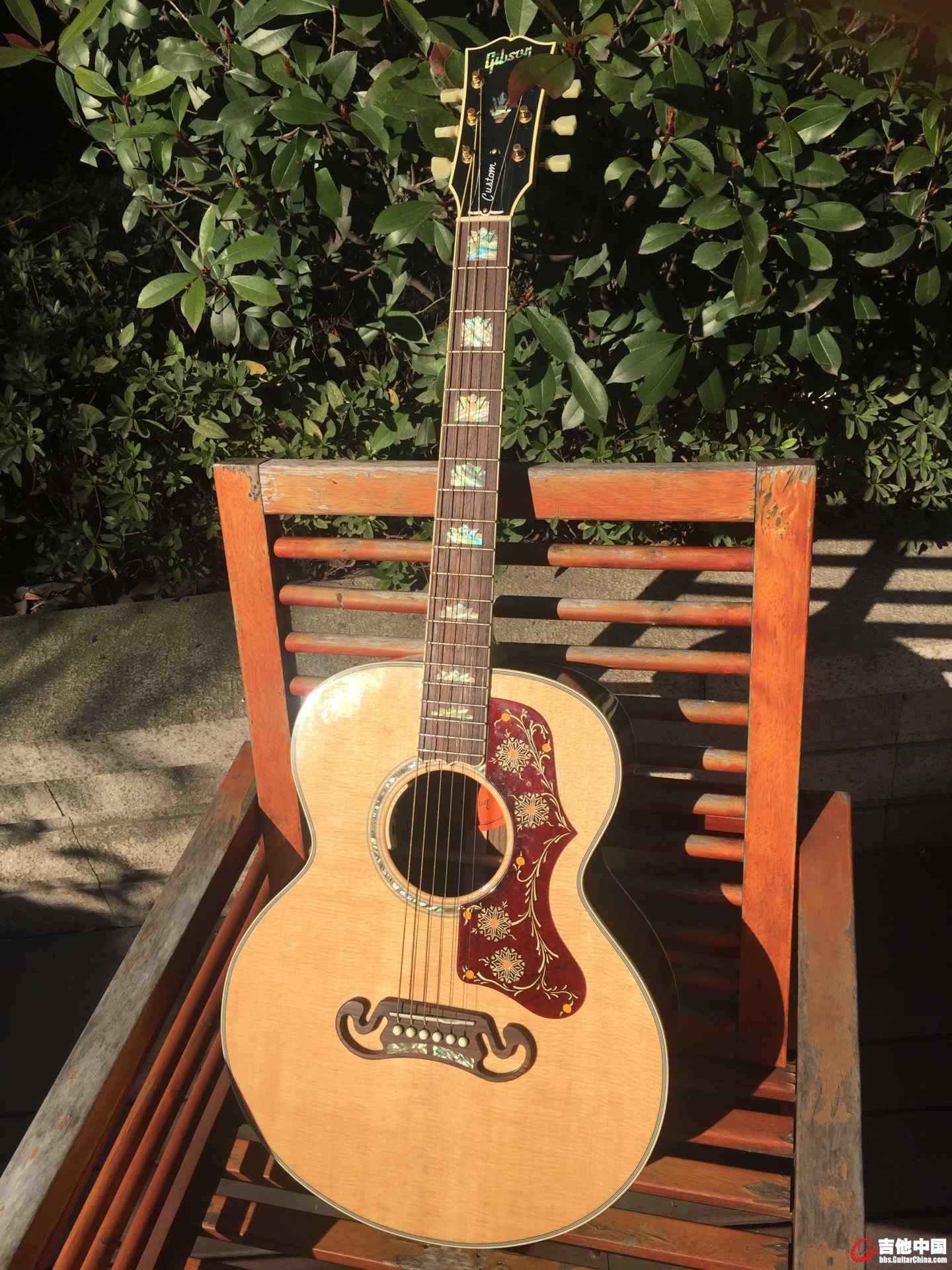 gibson0003.jpg