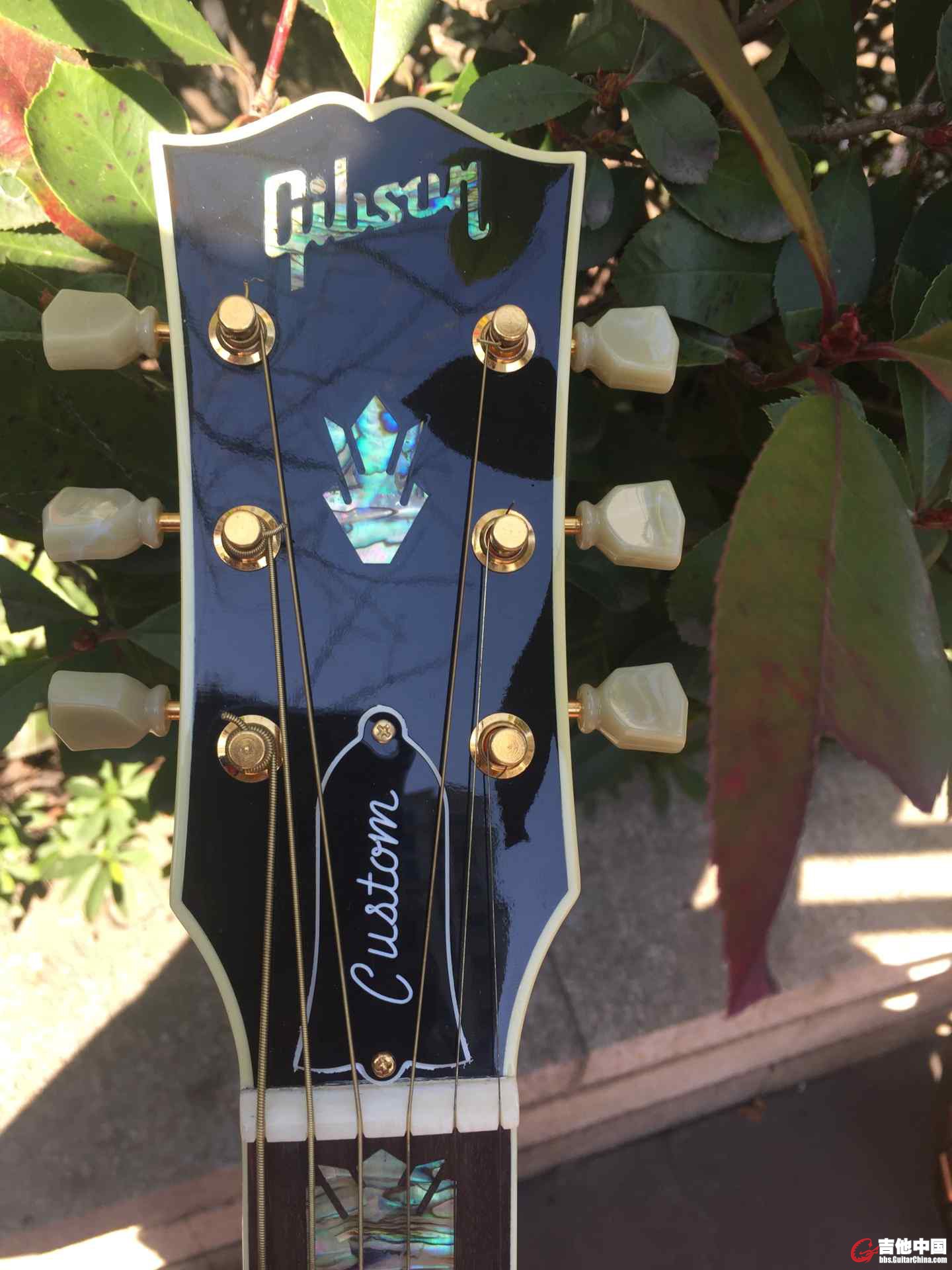 gibson0004.jpg