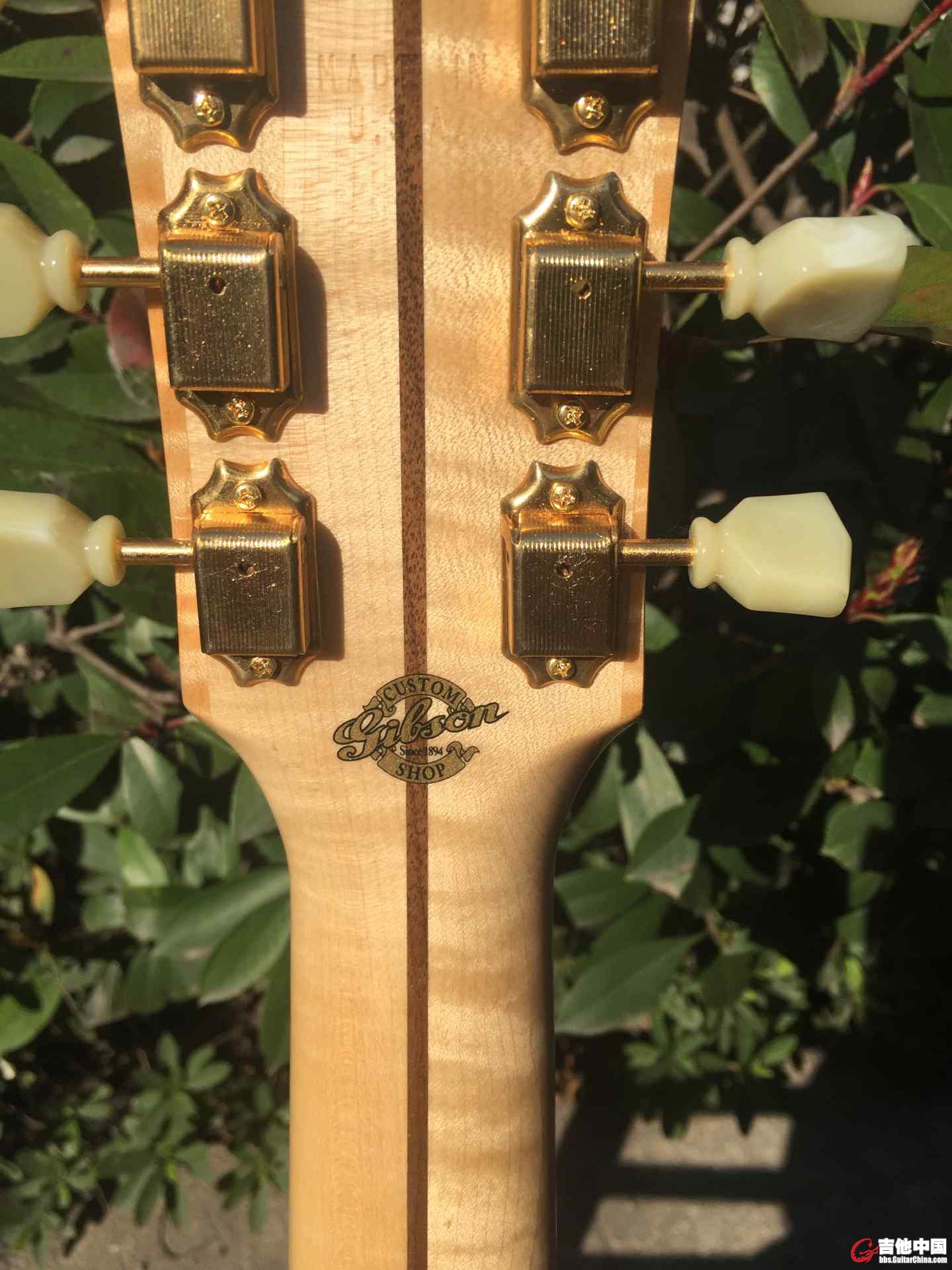 gibson0008.jpg