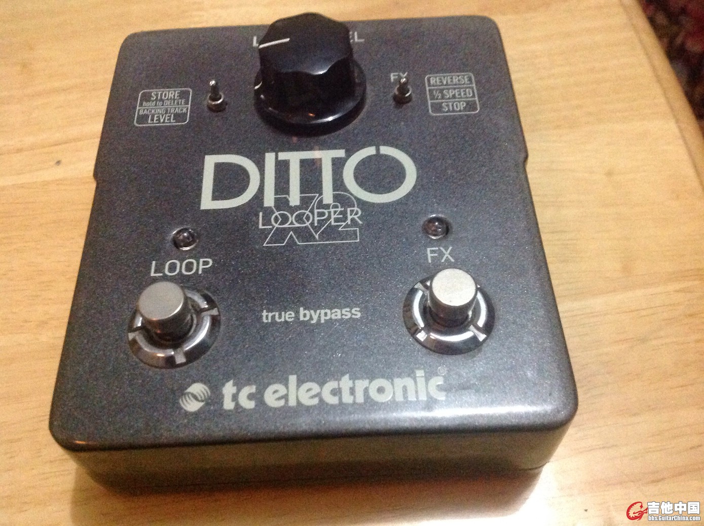 ditto looper.jpg