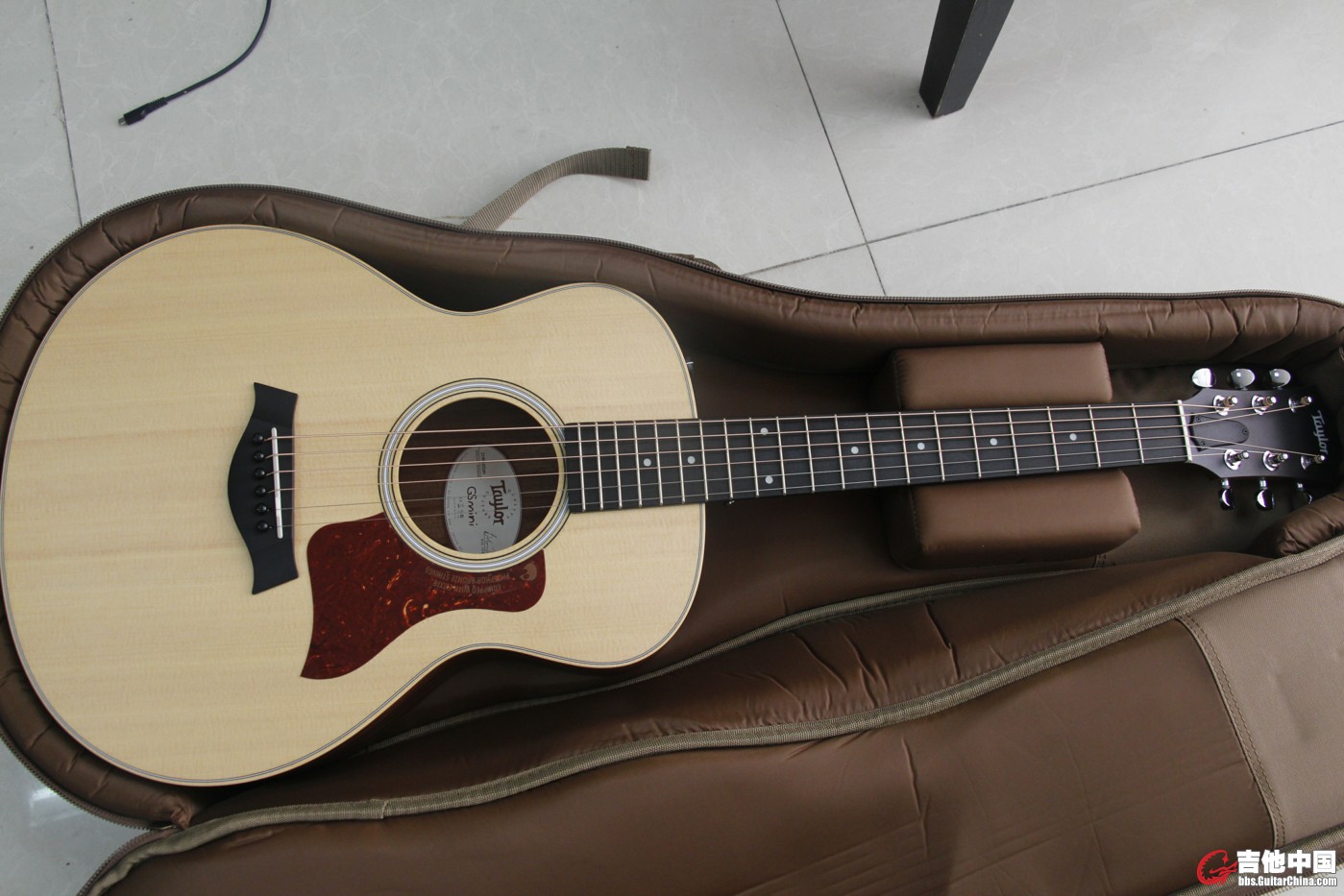 TAYLOR GS MINI涨价