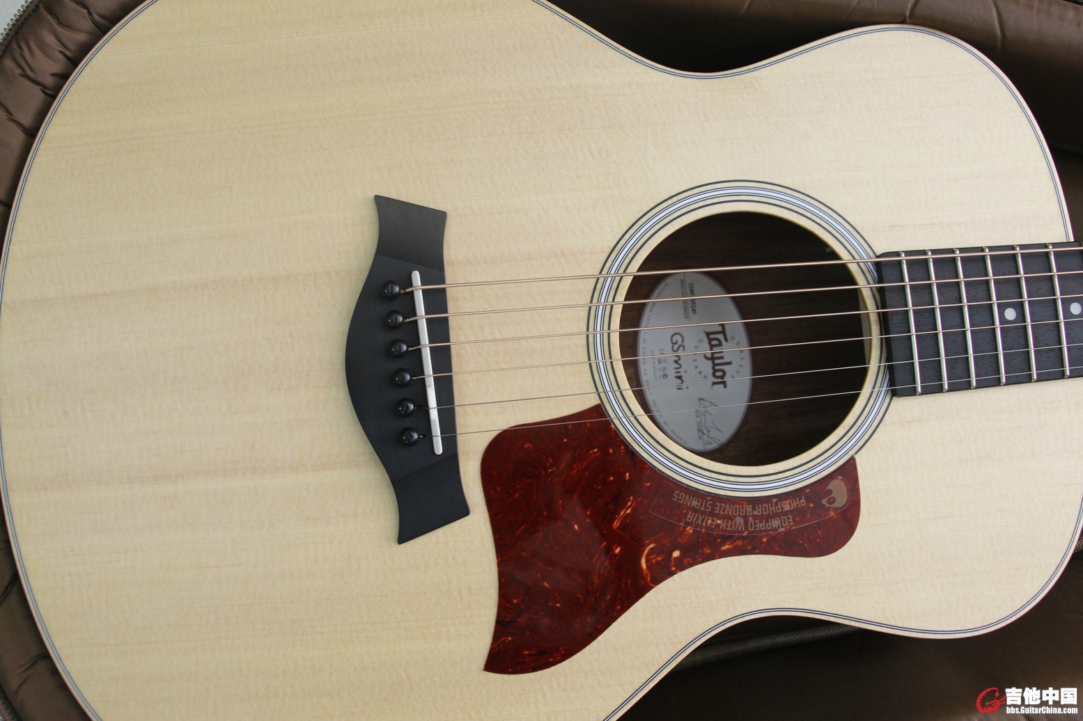 TAYLOR GS MINI涨价