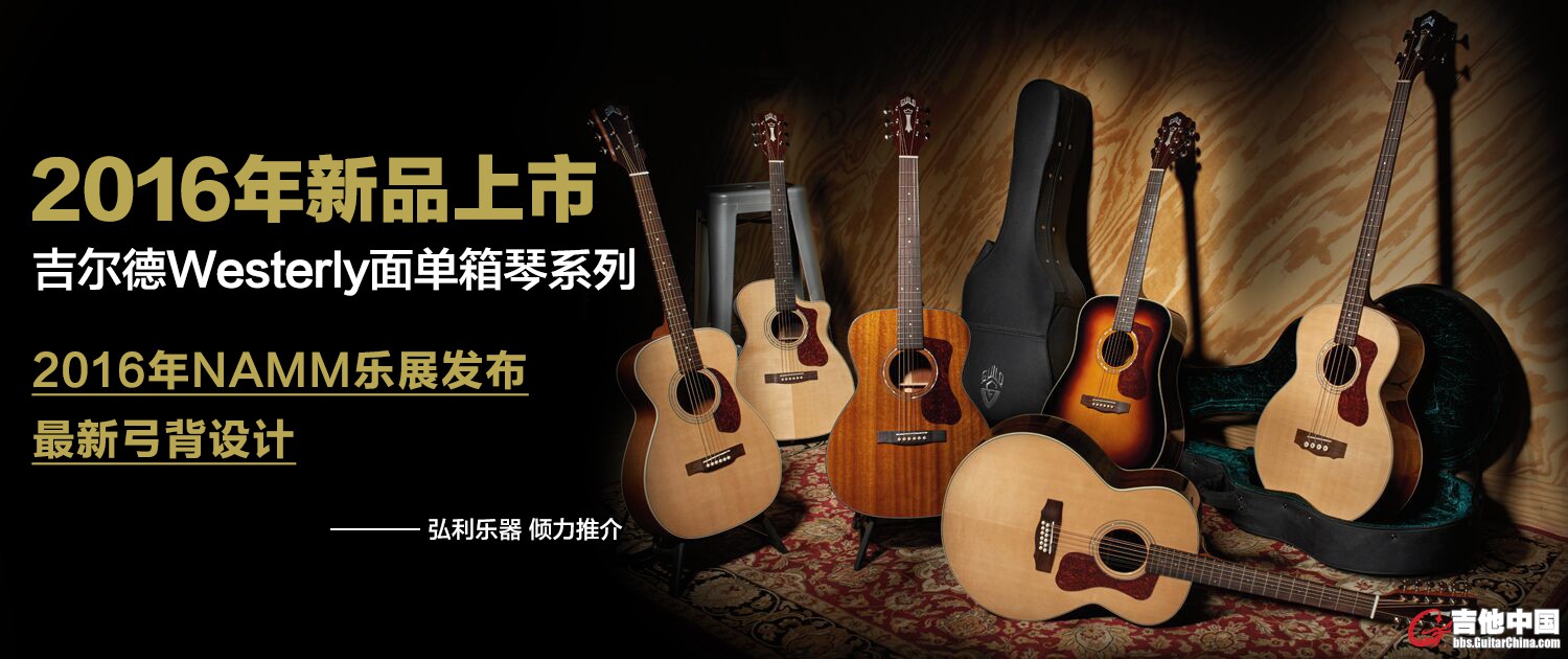 吉尔德面单箱琴