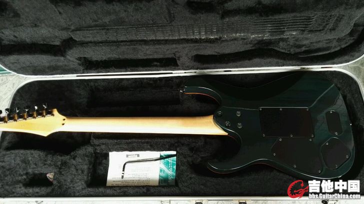 ibanez2.jpg