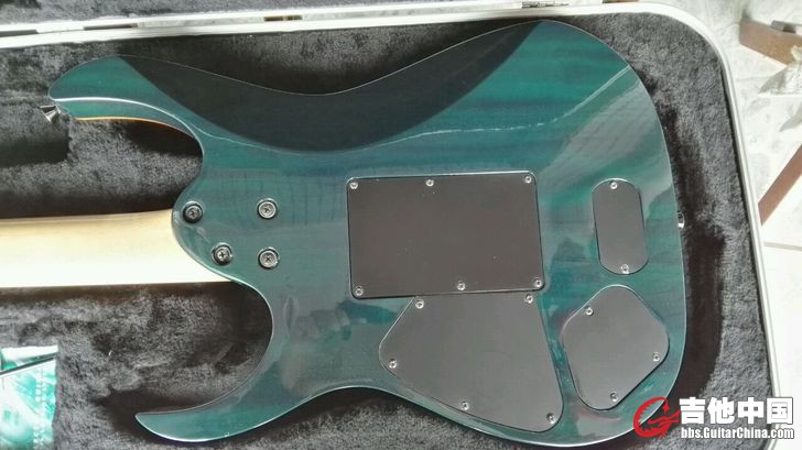 ibanez3.jpg