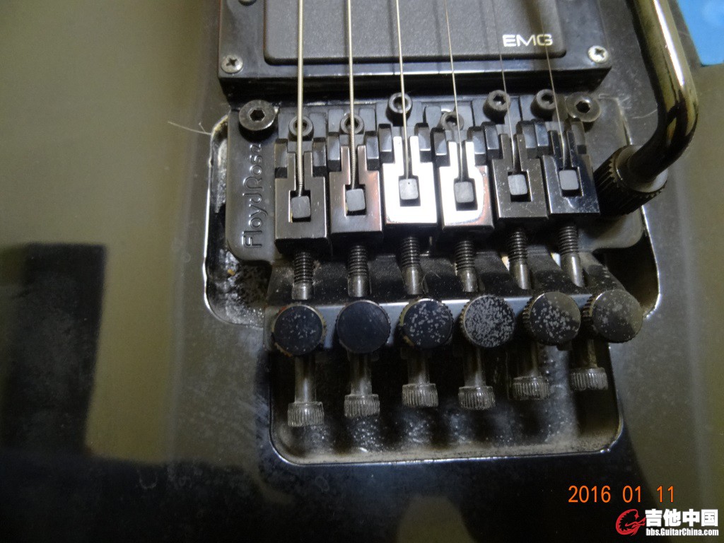 DSC06624.JPG