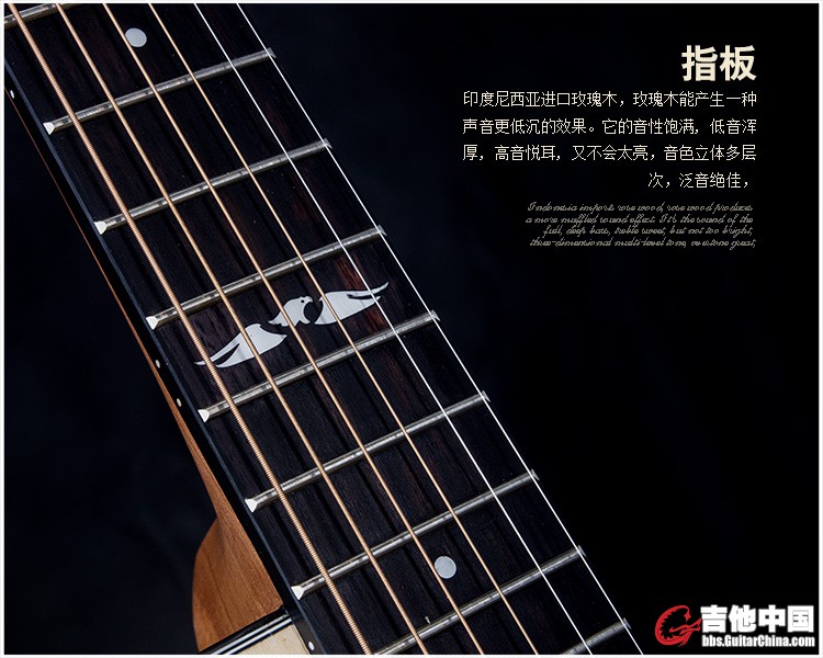 菜鸟系列 Rookie Series-10.jpg