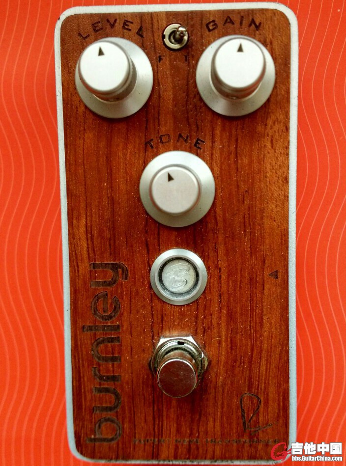 bogner BR.jpg