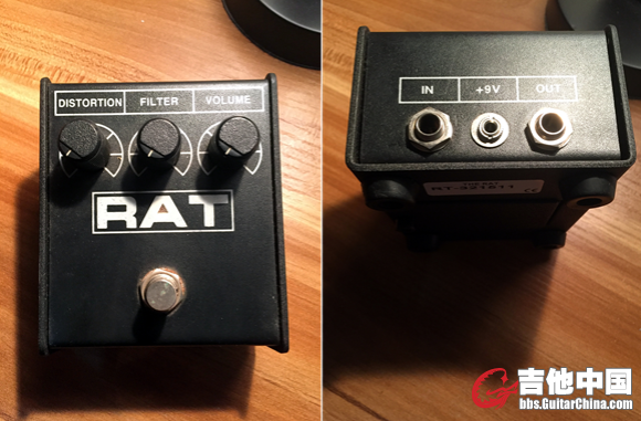RAT2.jpg