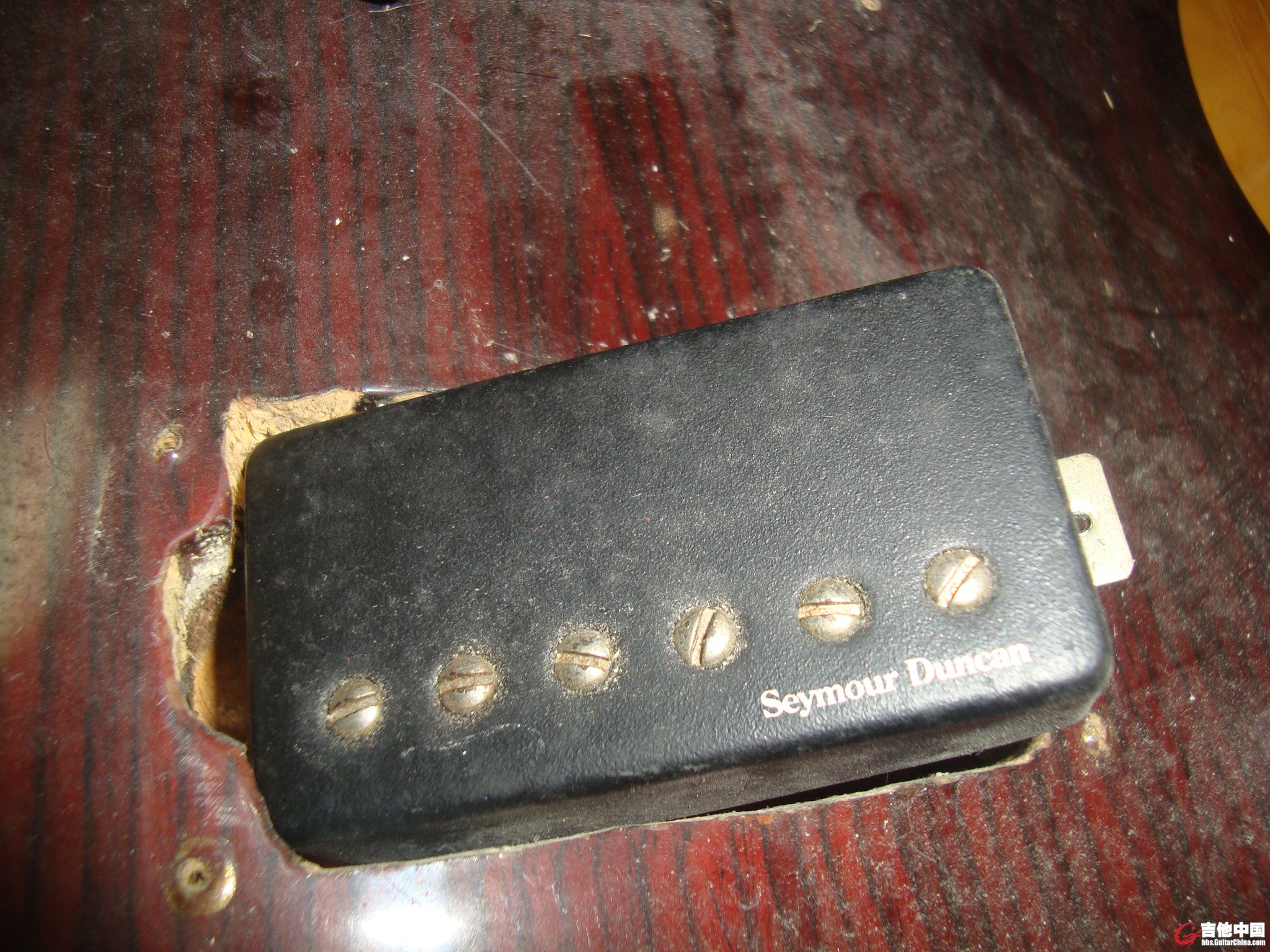 DSC03354.JPG