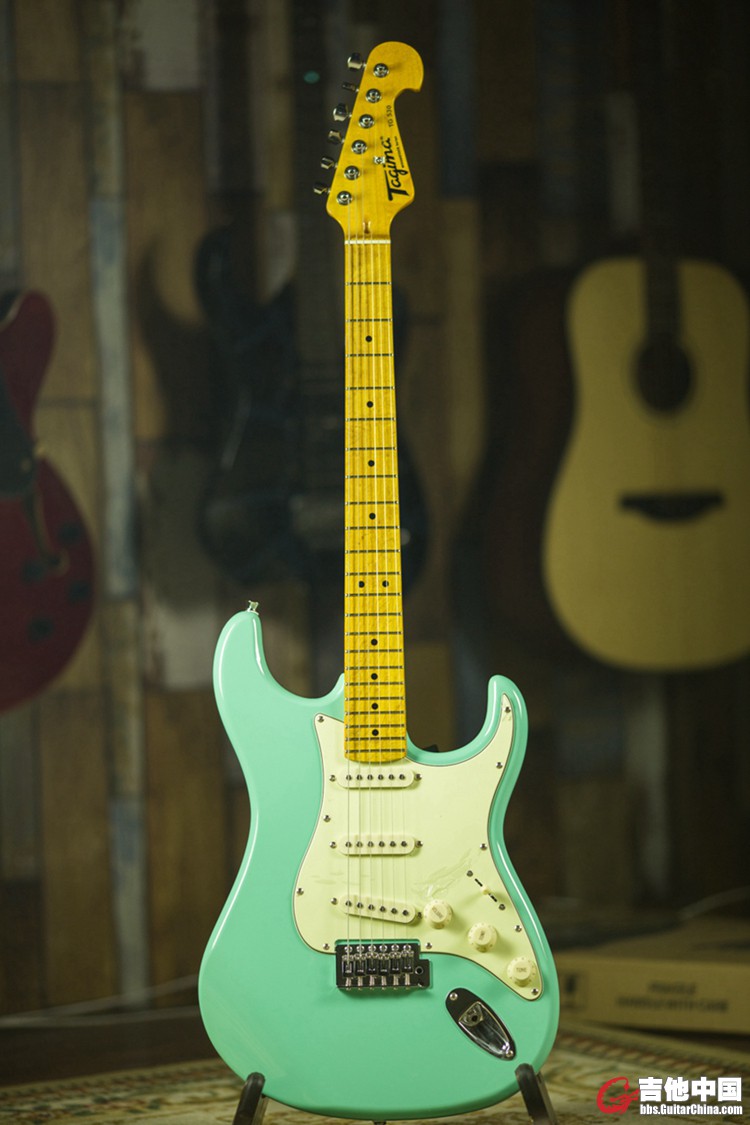 TG5301.jpg