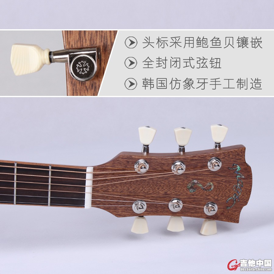 琴头2.jpg
