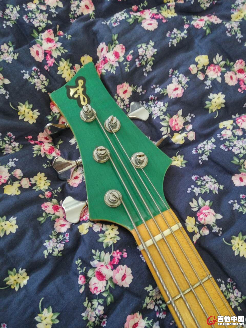 6.pic.jpg