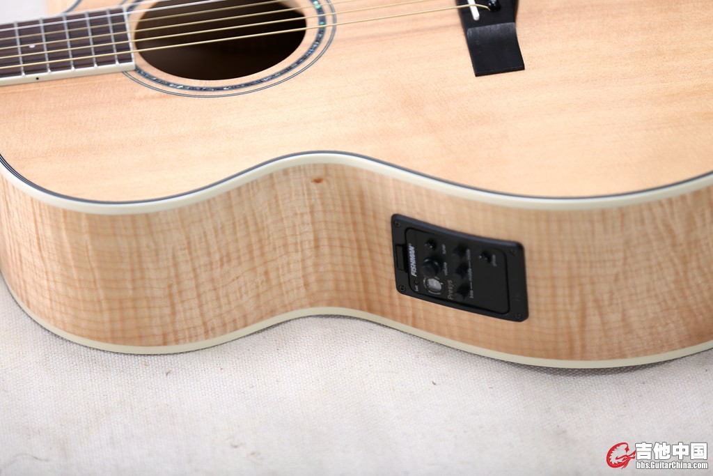 fender (13).jpg