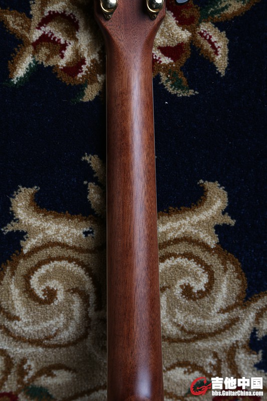 CORT CJ10X (17).jpg