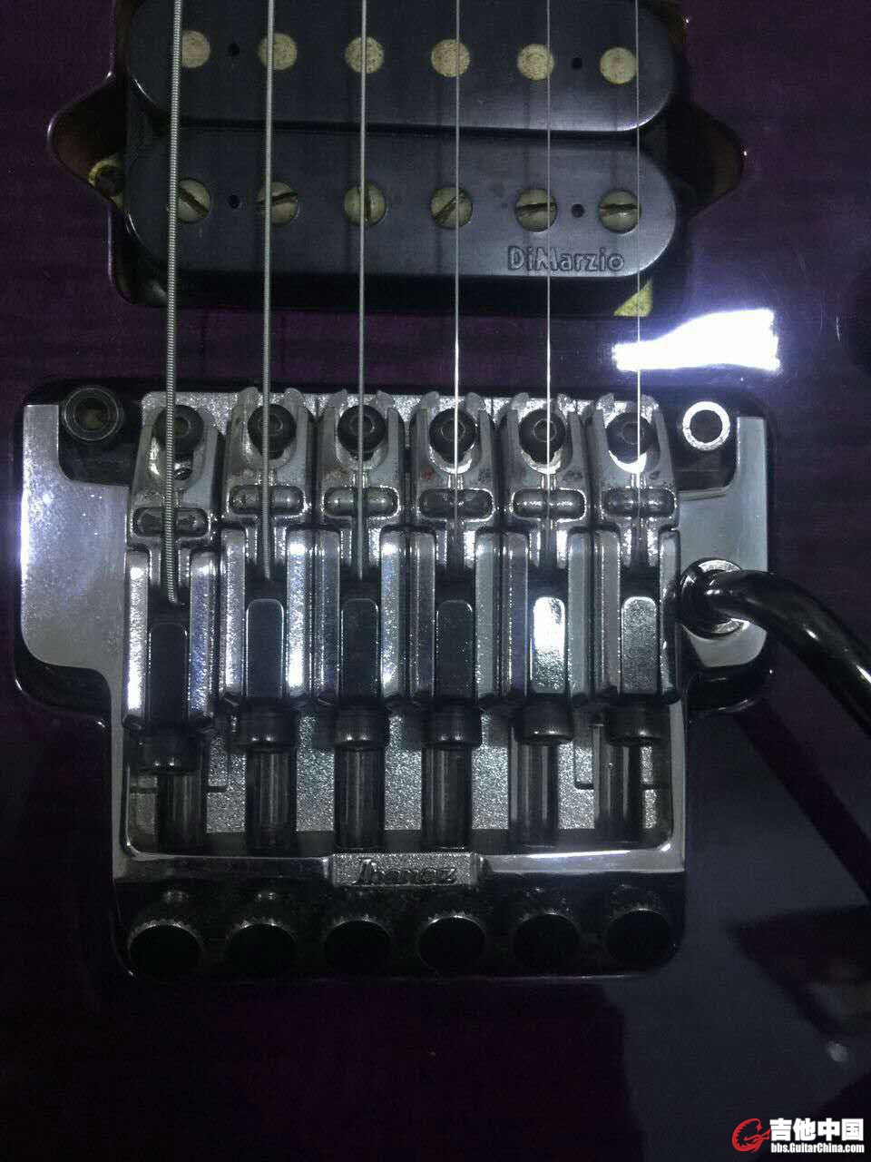 448695927424649122.jpg