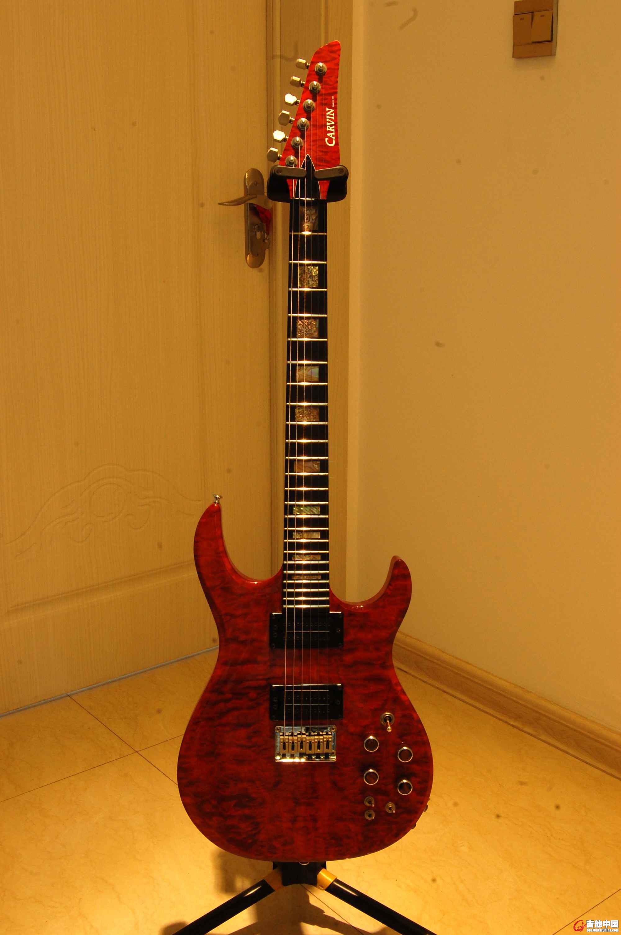 08-CARVIN.JPG