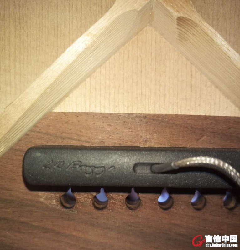 拾音器.jpg