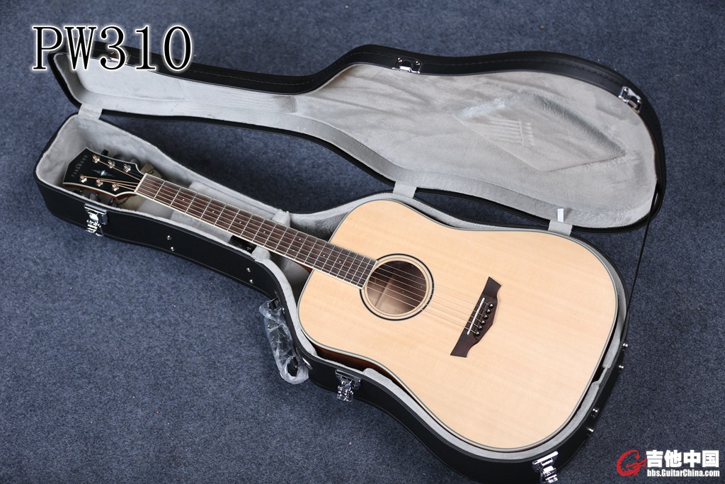 PW310 (2).jpg