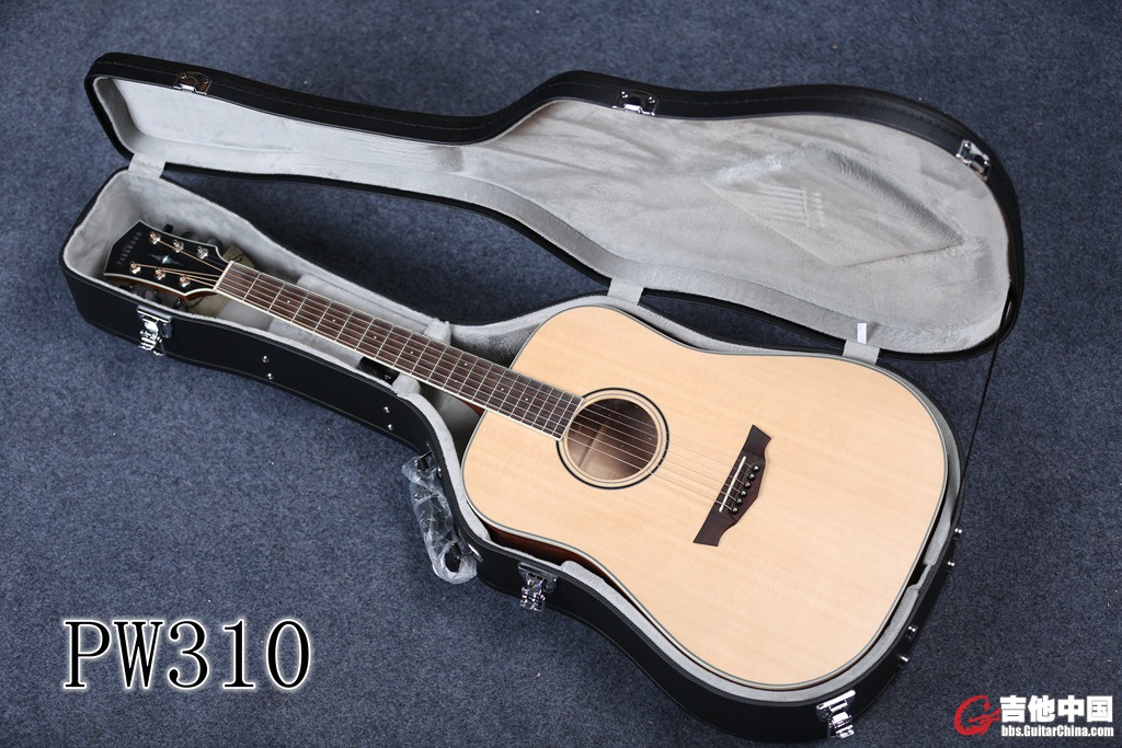 PW310 (6).jpg