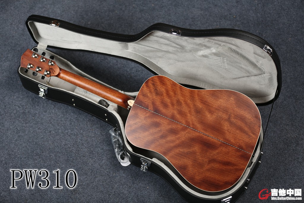 PW310 (7).jpg