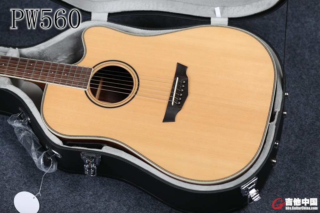 PW560 (8).jpg
