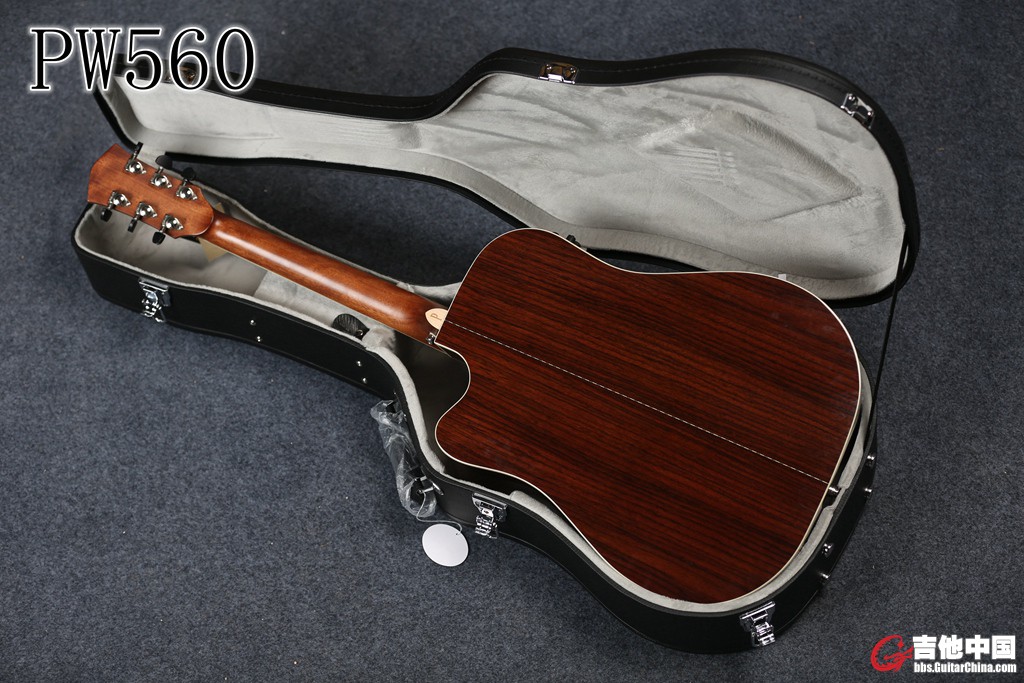 PW560 (13).jpg