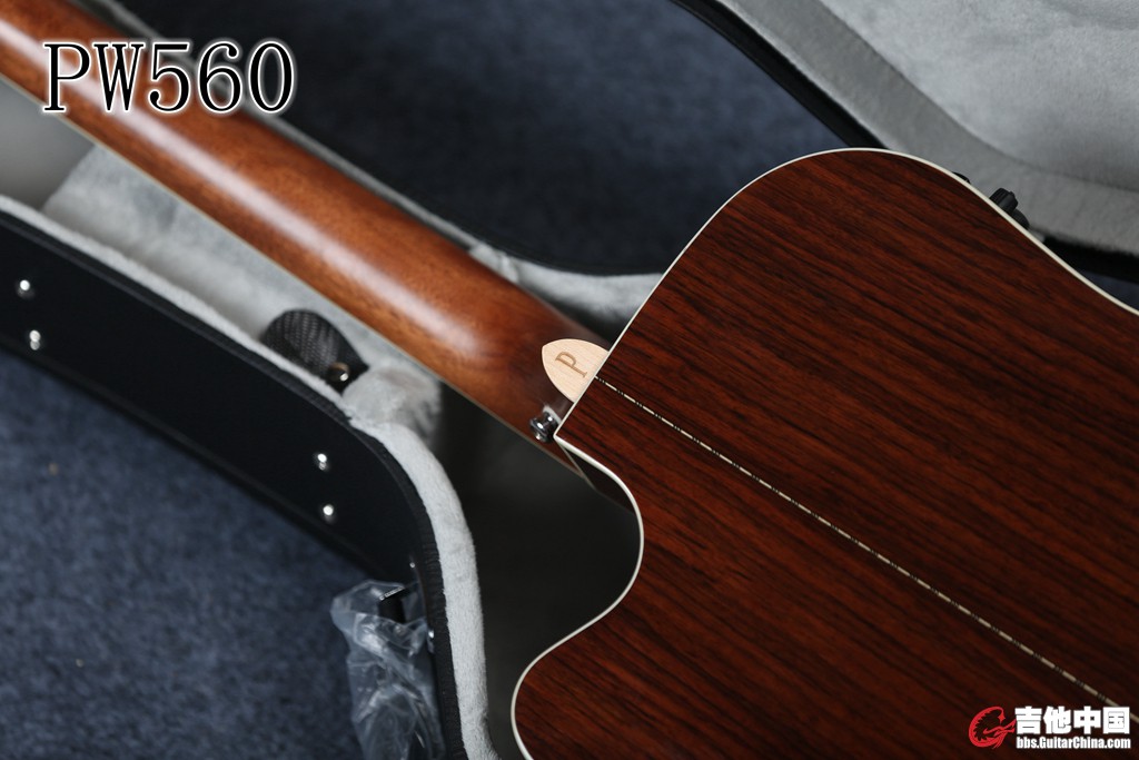 PW560 (15).jpg