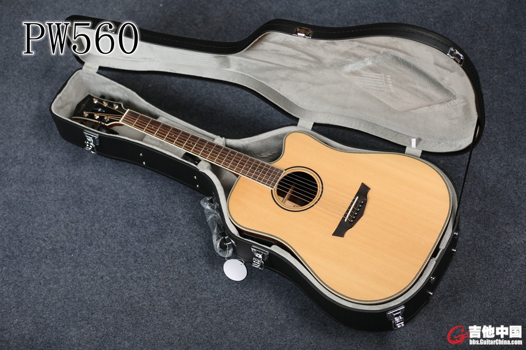 PW560 (19).jpg