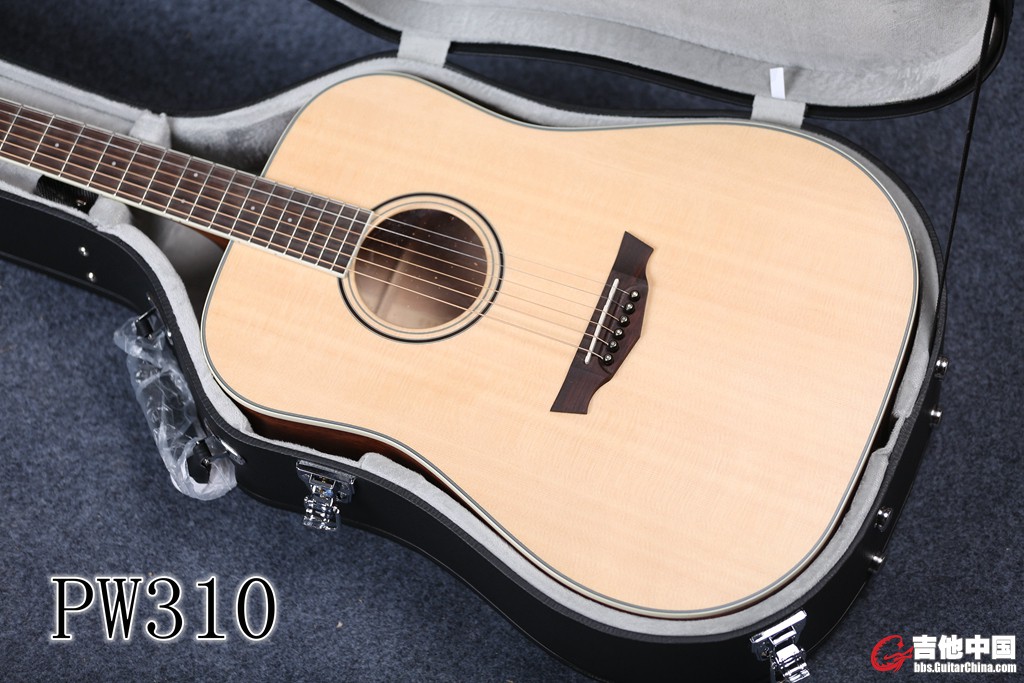 PW310 (5).jpg