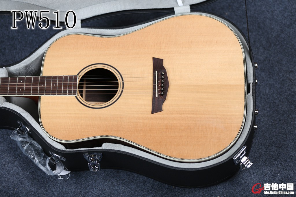 PW510 (9).jpg