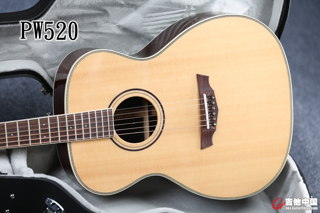 PW520 (6).jpg