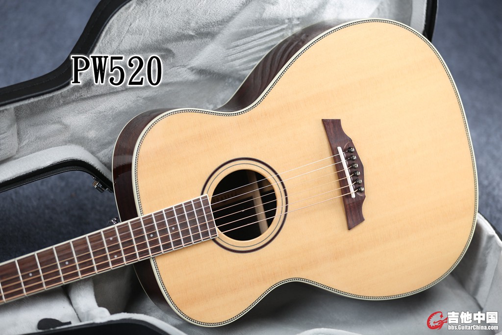 PW520 (8).jpg